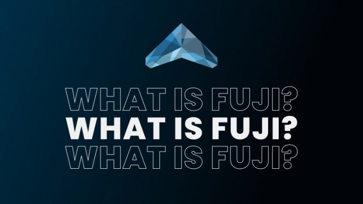 What is Fuji?
